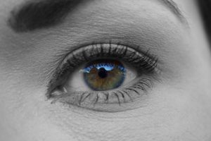 6D Eyebrow Embroidery